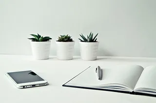 Schreibtisch mit Pflanzen, Smartphone und Notizbuch.